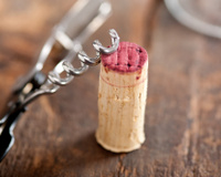 Você nunca mais vai jogar rolhas de vinho fora depois de descobrir o que elas fazem pelas suas planta