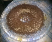 Pudim de Brigadeiro