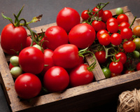 Nem na fruteira, nem na geladeira: o lugar ideal para conservar seus tomates sem estragá-los