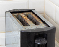 Aprenda como limpar torradeira sem sofrer! Dicas simples para fazer a limpeza com itens que você já tem em casa