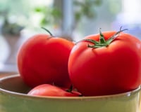 Tem muitos tomates maduros? Veja 3 formas de aproveitá-los antes que estraguem