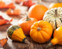 Abóbora: conheça 4 tipos diferentes