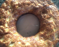 Bolo de maçã fácil