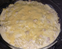 Macarrão com molho branco especial