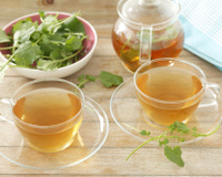 Chá de agrião: os múltiplos benefícios da bebida, cuidados e a forma correta de fazer a infusão