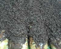 Panqueca doce de brigadeiro