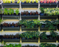 Sabia que dá para ter uma horta vertical na sua casa sem gastar uma fortuna? Vem que eu te ensino como!