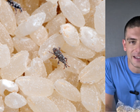 Tomás Gill, engenheiro de alimentos: “O segredo para evitar gorgulhos é armazenar leguminosas ou farinhas no congelador por 24 horas.”