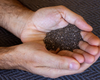 Sou nutricionista e garanto: "essa é a melhor forma de consumir sementes de chia e aproveitar suas proteínas"