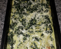 Lasanha com molho de espinafre