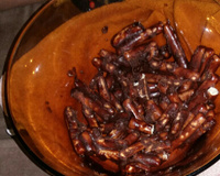 Biscoitinhos de chocolate