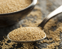 Amaranto: saiba mais sobre o grão e seus benefícios