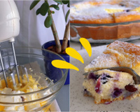 Nem bolo, nem cheesecake: esse doce aromatizado com limão siciliano já sai recheado do forno; aprenda a receita