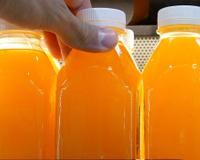 É verdade que o suco de laranja vai sumir dos mercados? TudoGostoso explica o que está acontecendo com a fruta