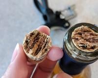 Poucas pessoas sabem, mas esse truque caseiro remove a rolha quebrada dentro da garrafa de vinho (dica de um amigo enófilo!)