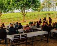 Você precisa conhecer essa cidade em São Paulo que tem vinho premiado, gastronomia europeia e fica pertinho da capital!