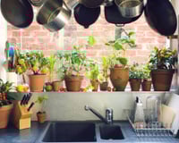 6 itens de decoração que muitos colocam na cozinha mas não deveriam