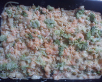 Macarrão ao molho branco com camarão