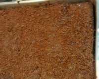 Bolo de cenoura com cobertura de chocolate