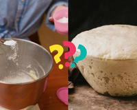 Fermento químico ou fermento biológico: quais são as diferenças na prática e como escolher o certo?