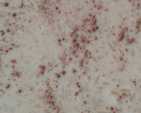 Arroz doce com açúcar queimado