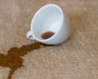 Nem precisa de produtos caros: o TudoGostoso mostra como agir rápido contra manchas de café no sofá