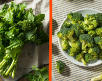 Brócolis ramoso vs brócolis de cabeça: qual é a opção mais saudável?