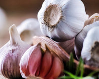 Alho branco X alho roxo: entenda a diferença entre eles e escolha o melhor para os seus pratos!