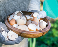 Pouca gente conhece esse truque caseiro que mistura detergente com casca de ovo triturada (sua louça ficará fabulosa!)