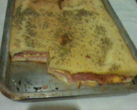 Bauru de forno