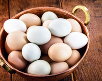 A cor do ovo da galinha muda o sabor? Descubra no TudoGostoso!