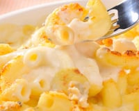 Hoje temos uma opção incrivelmente deliciosa: um macarrão com queijo para a família que pode ser feito com ou sem a camada crocante por cima