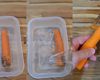 Truque de mestre salva a cenoura velha, murcha e molenga: a solução é bem simples, você só precisa de água