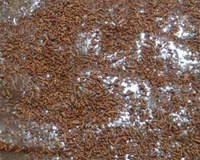 Pavê de chocolate preto e chocolate branco