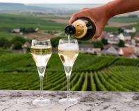Champagne do Brasil: conheça a região do país com espumantes de qualidade que competem até com a França