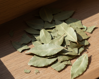 Coloque folhas de louro nos seus armários e veja o que acontece com os insetos de um jeito fácil e sem cheiro