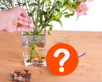 O que acontece quando você coloca uma moeda no fundo do vaso de flores?