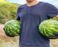 Capital da melancia: essa cidade brasileira com 14 mil habitantes produz toneladas da fruta todos os anos e atrai turistas