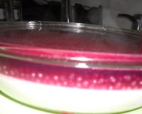 Sagu com creme maravilhoso