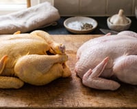 Frango com pele amarela ou pele branca? O TudoGostoso te explica a diferença e qual você deve comprar