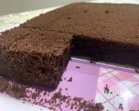 Bolo de chocolate feito com cacau