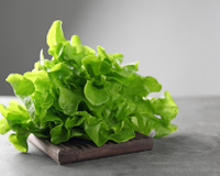 Como conservar alface na geladeira por mais tempo