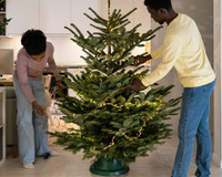 A sua decoração natalina com LED nunca dá certo? Veja como escolher o cordão de LED certo para a sua árvore de Natal com dicas de uma especialista