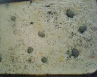 Omelete de frango ao forno