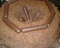 Bolo de cenoura da Gi