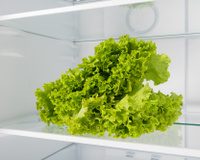 Um truque de chef para manter a alface fresca por mais de 60 dias sem complicar sua vida