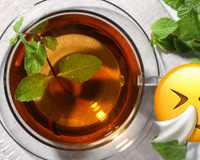 Chá para males do inverno: a planta que cura resfriados, reduz febre e combate a congestão nasal e pulmonar