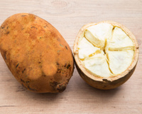 Benefícios do cupuaçu para a saúde: confira