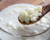 Como fazer kefir com leite e com água