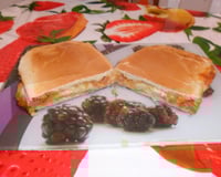 Cachorro quente prensado